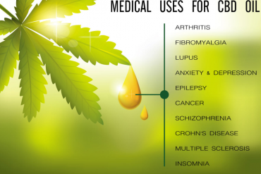 Introduction to CBD Oil and Its Different Forms for Newbies of CBD